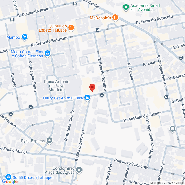 Rua Cantagalo,2257,Vila Gomes Cardim,São Paulo,SP,BR