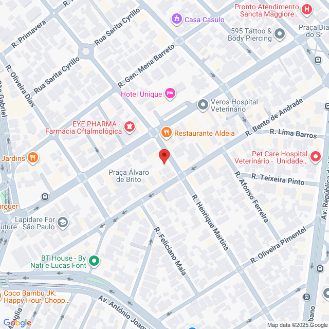 Rua Henrique Martins,495,Jardim Paulista,São Paulo,SP,BR